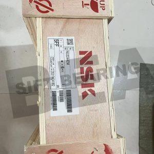 NSK NU2244EM