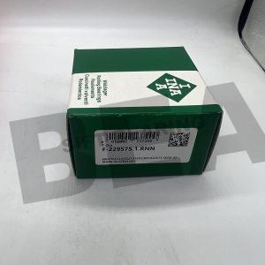 INA F-229575.1.RNN