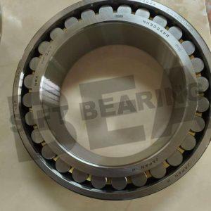 NSK NN3024MBKRE44CC0P5